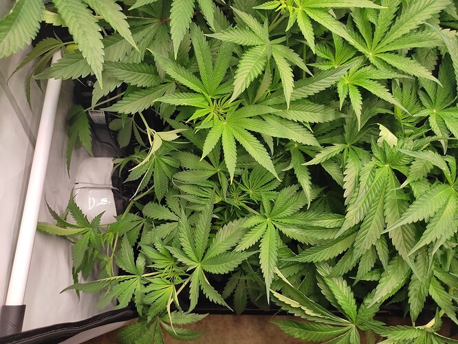Growreport Bild 13
