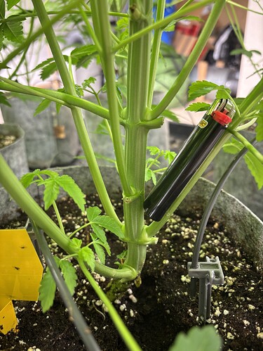 Growreport Bild 4
