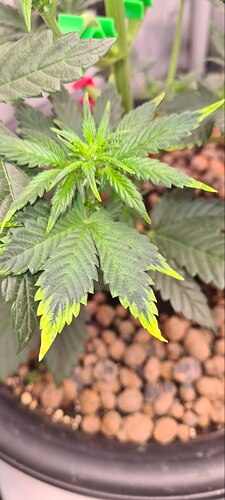 photo_2026-02-16_19-58-02