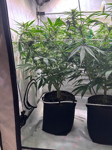 Growreport Bild 7