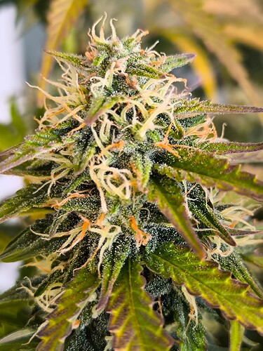 Growreport Bild 19