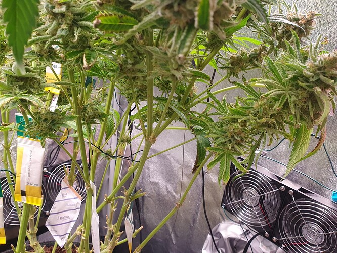 Growreport Bild 10
