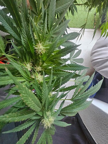 Growreport Bild 9