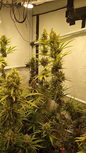 Growreport Bild 9