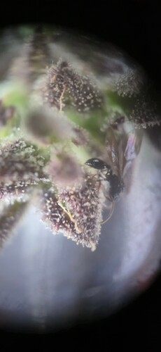 Growreport Bild 15