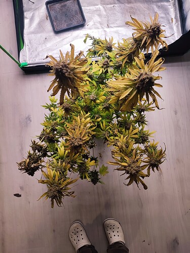 Growreport Bild 123