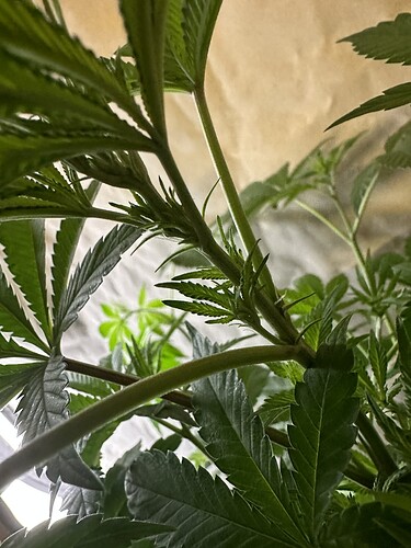 Growreport Bild 12
