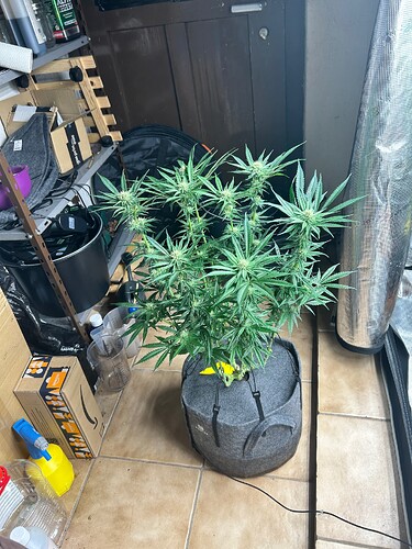 Growreport Bild 5