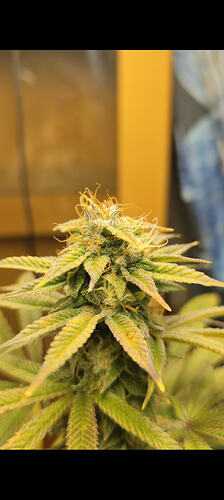 Screenshot_2026-02-24-14-19-44-236_com.miui.gallery