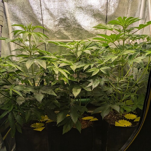 Growreport Bild 12