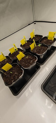 Growreport Bild 10