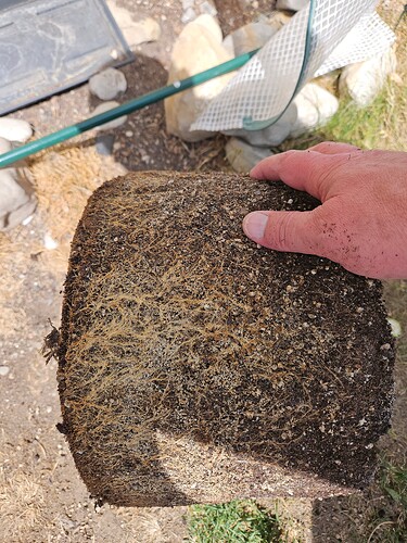 Growreport Bild 14
