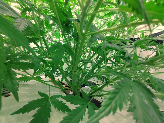 Growreport Bild 12