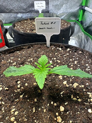 Growreport Bild 23