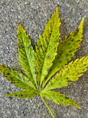 Growreport Bild 5