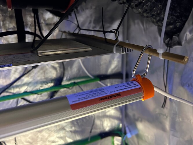 Growreport Bild 32