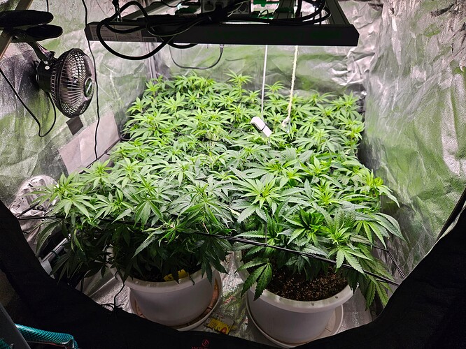 Growreport Bild 3