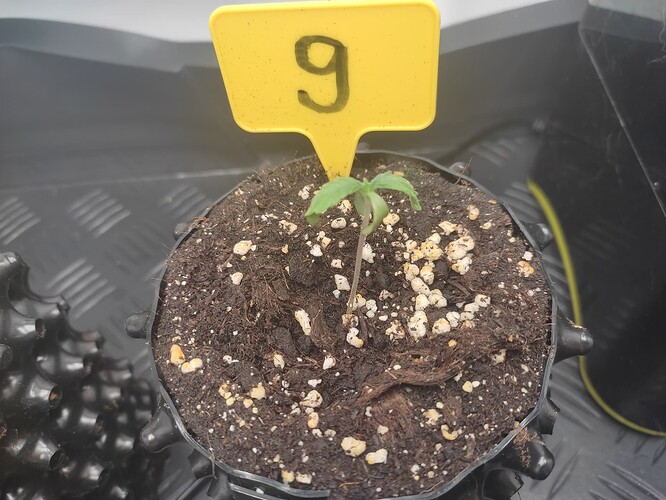 Growreport Bild 6