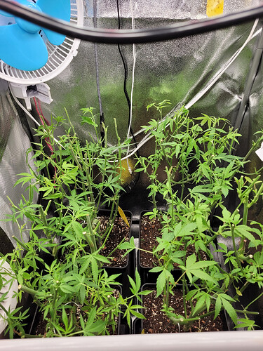 Growreport Bild 2