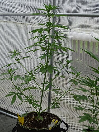 Growreport Bild 11