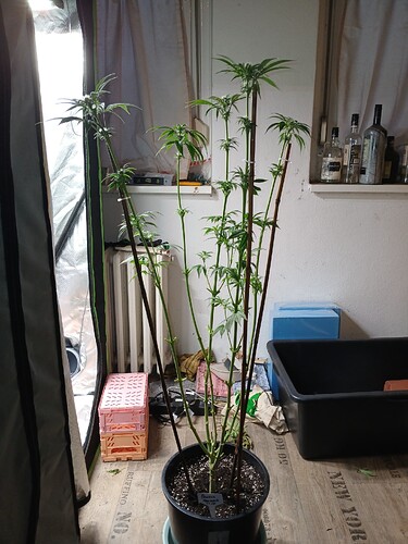 Growreport Bild 15