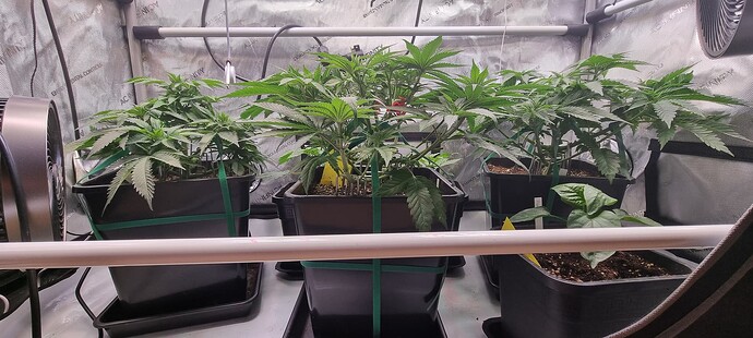 Growreport Bild 16