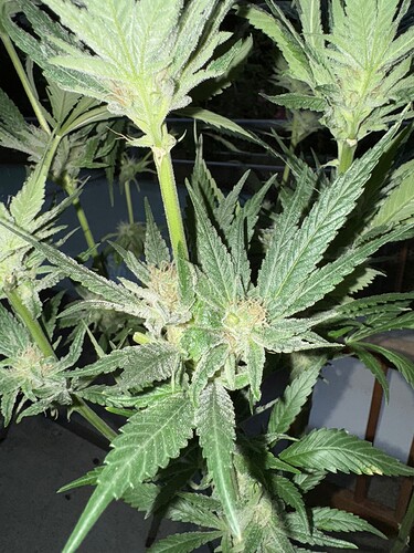 Growreport Bild 7