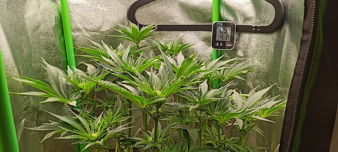 Growreport Bild 4