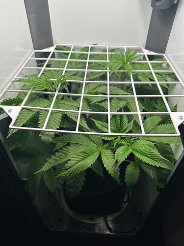 5228B3C3-B82E-479A-94BB-FC6E254929F4-76646-00002E0ECA6037B2