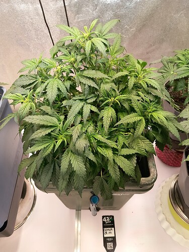 Growreport Bild 14