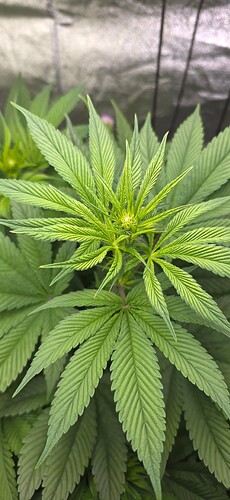 Growreport Bild 11