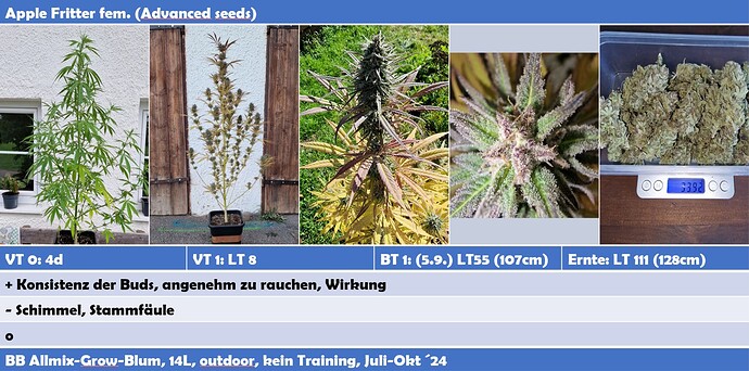 Growreport Bild 2