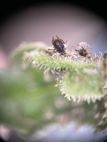 Growreport Bild 6