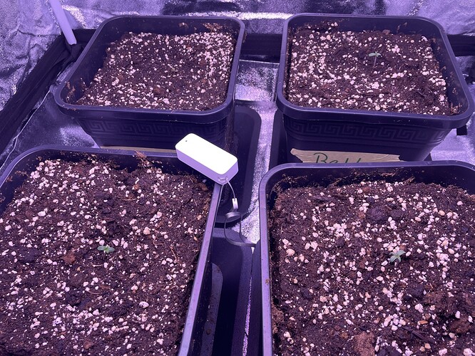 Growreport Bild 1