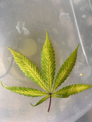 Growreport Bild 1