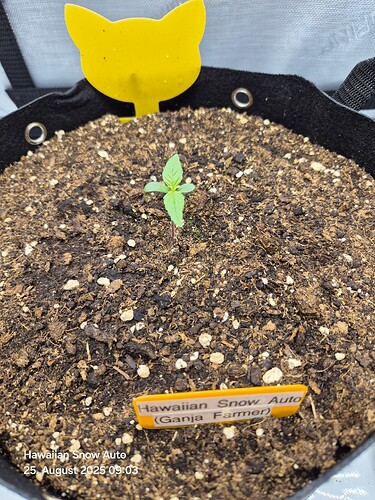 Growreport Bild 13