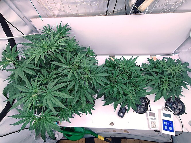 Growreport Bild 2