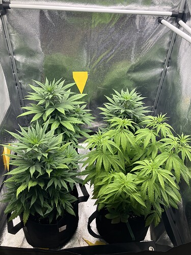 Growreport Bild 8