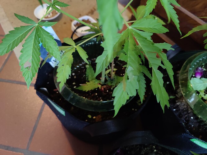 Growreport Bild 22