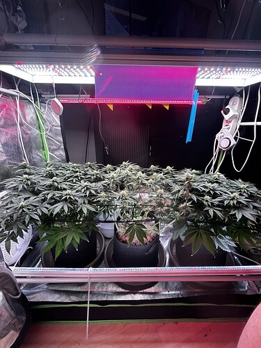 Growreport Bild 19