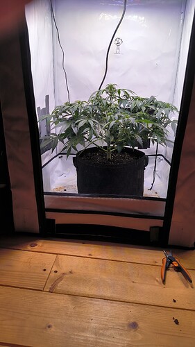 Growreport Bild 16