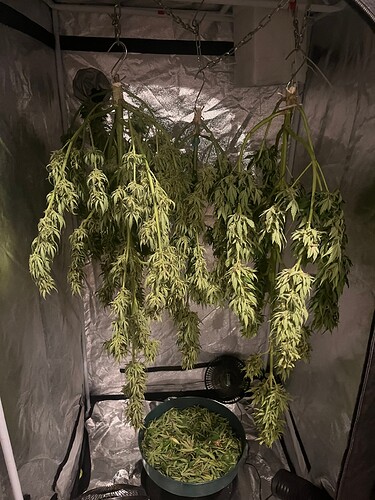 Growreport Bild 12
