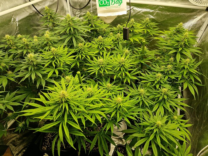 Growreport Bild 9