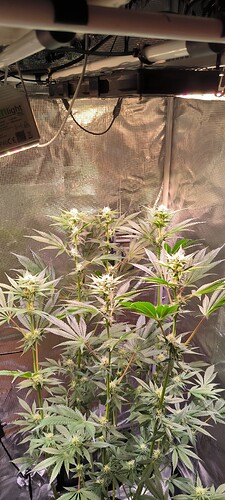 Growreport Bild 14