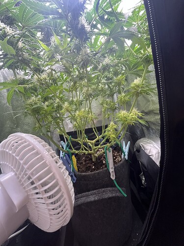 Growreport Bild 13