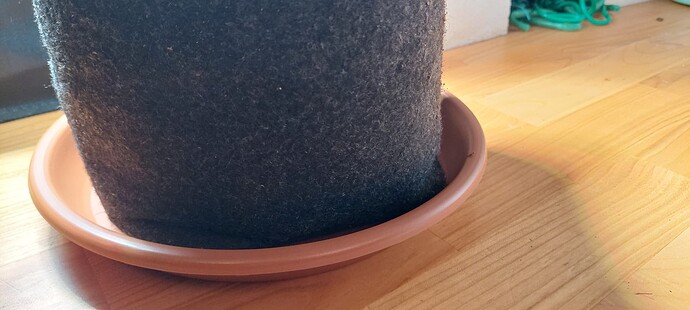 Growreport Bild 3