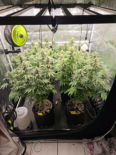 Growreport Bild 3