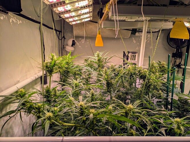 Growreport Bild 5