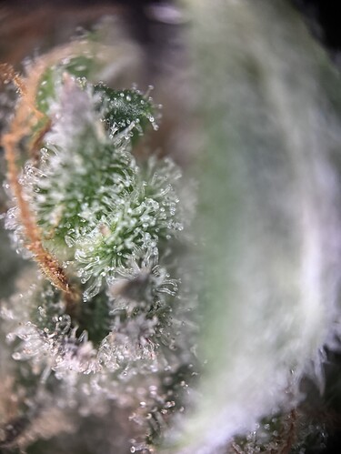 Growreport Bild 17