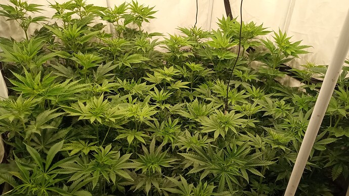 Growreport Bild 10